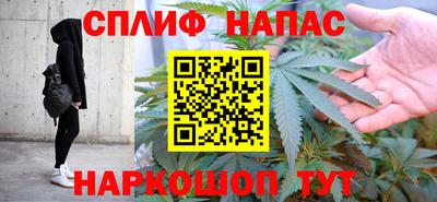 молекула духа Будённовск