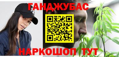 молекула духа Будённовск