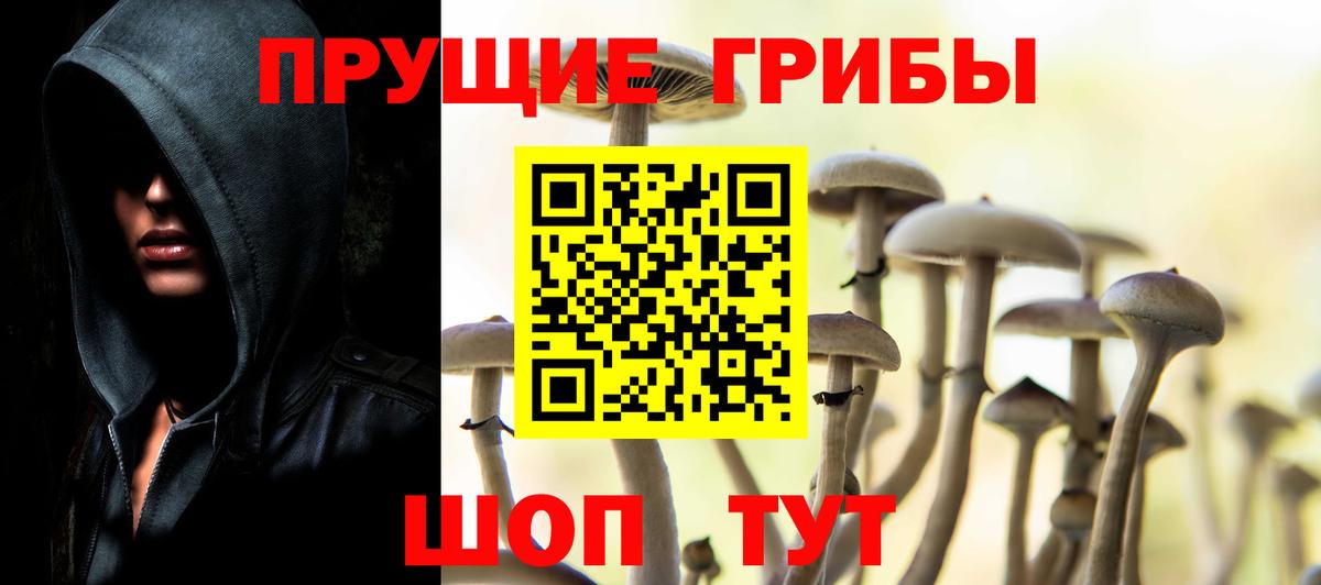 купить  сайты  Псилоцибиновые грибы прущие грибы  Вход с VPN  Учалы 